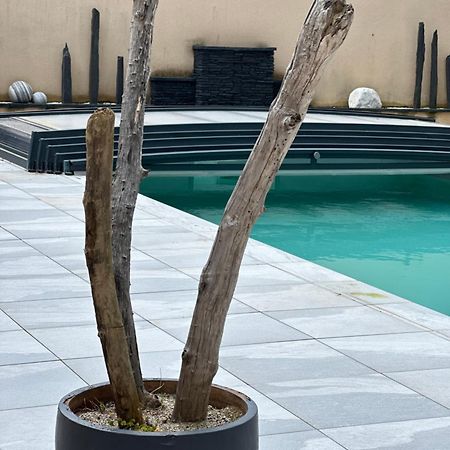 Maison D'Hotes Chic A Beauzelle エクステリア 写真