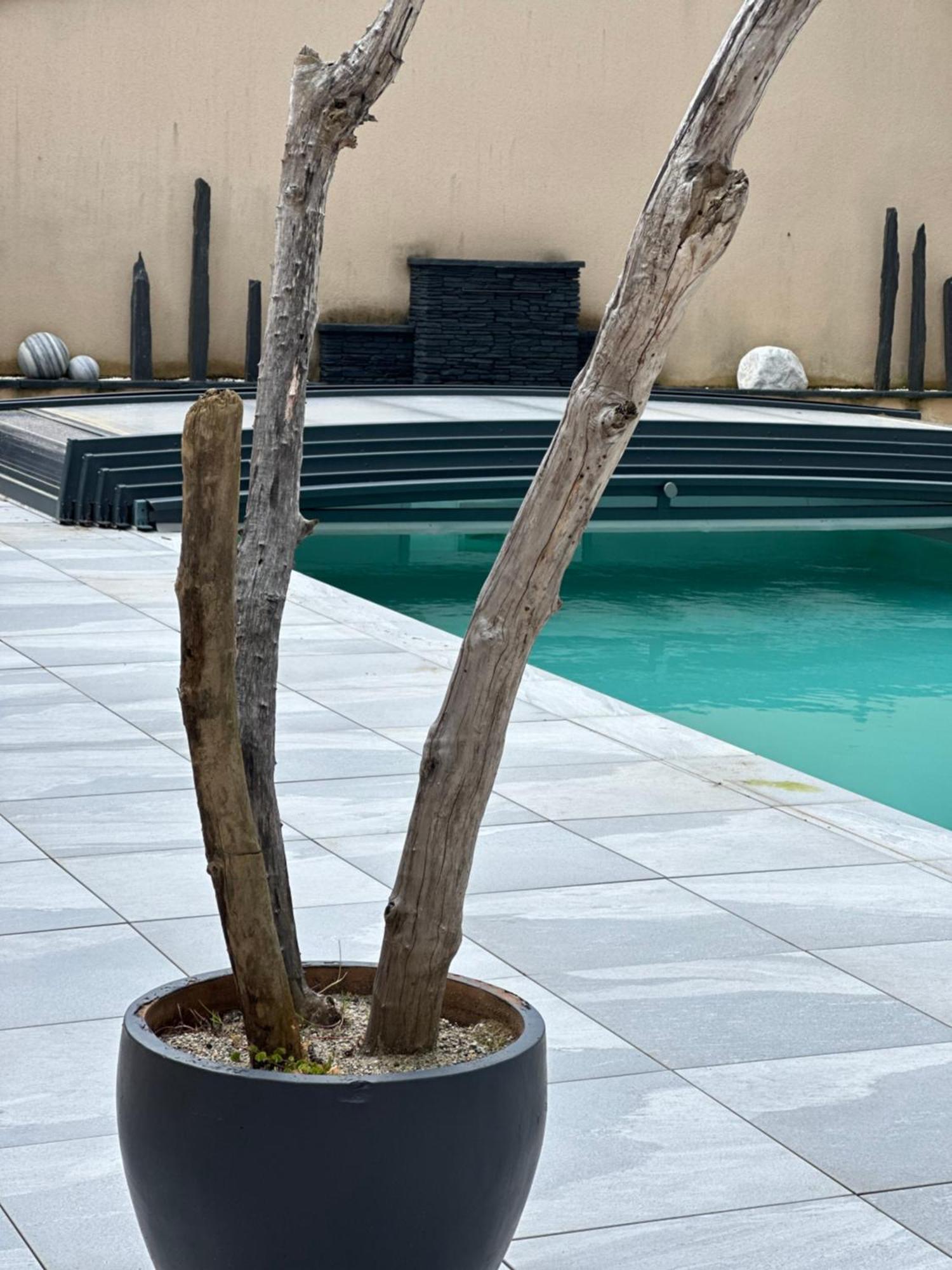 Maison D'Hotes Chic A Beauzelle エクステリア 写真