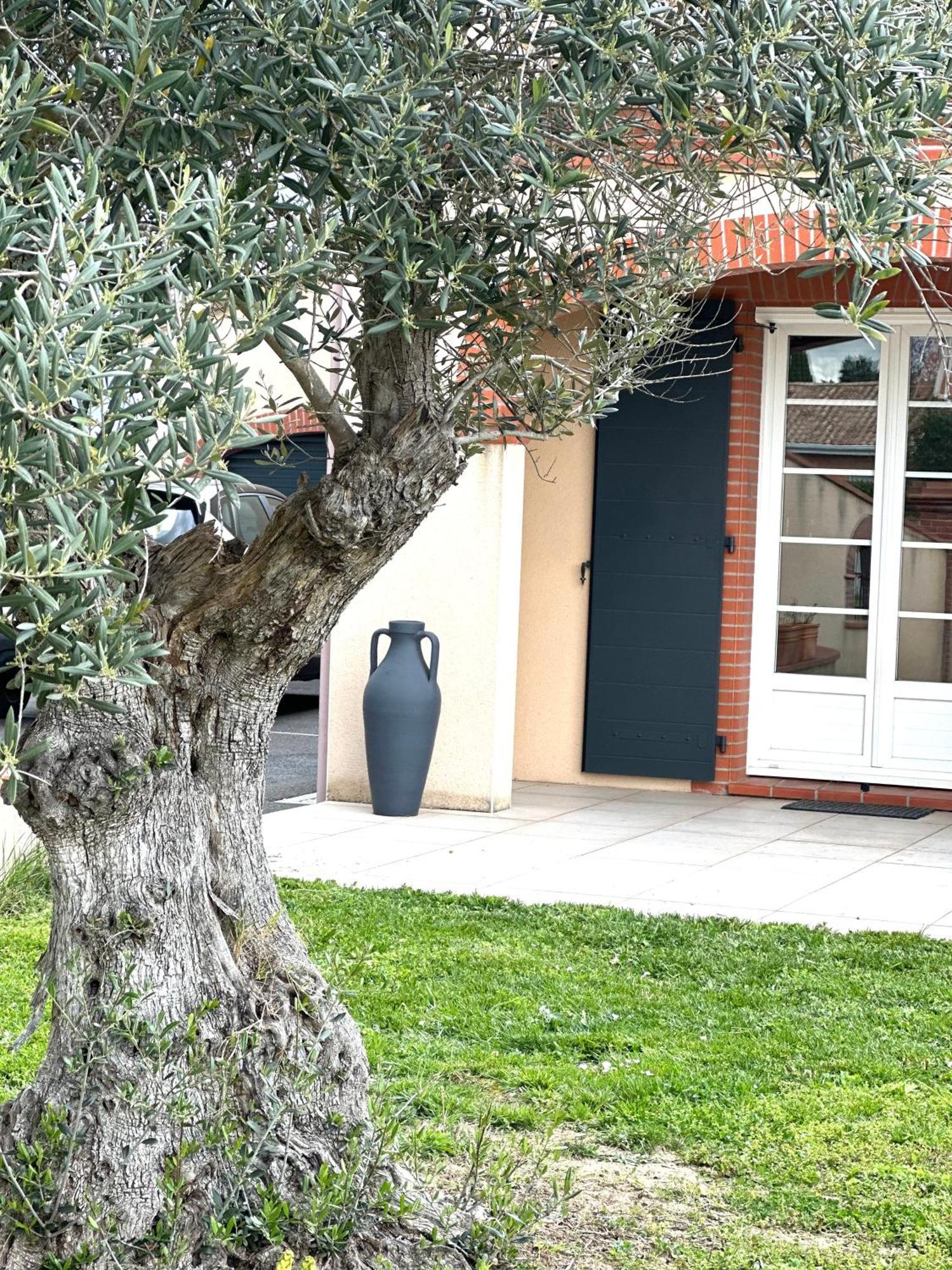 Maison D'Hotes Chic A Beauzelle エクステリア 写真